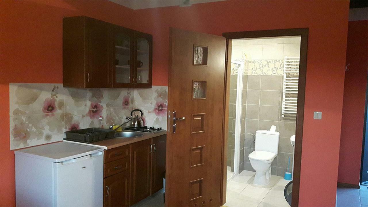 Apartamenty "Anusia" Ledzin Экстерьер фото